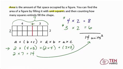 area boxes for distributive property|distribution property using area name.